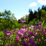 Casa Castagno E Ruscello - Nature Retreat In Liguria *