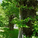 Prázdninový dům Casa Castagno E Ruscello - Nature Retreat In Liguria Pieve di Teco