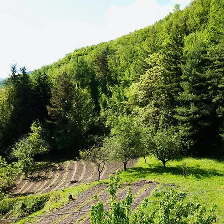 Casa Castagno E Ruscello - Nature Retreat In Liguria Дом отдыха *