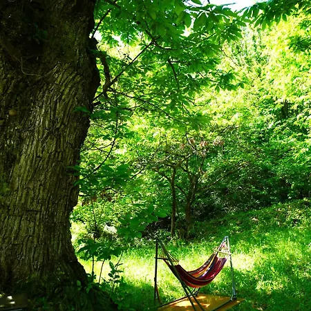 Casa Castagno E Ruscello - Nature Retreat In Liguria * Pieve di Teco