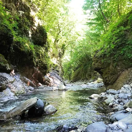 Casa Castagno E Ruscello - Nature Retreat In Liguria 度假居 Pieve di Teco