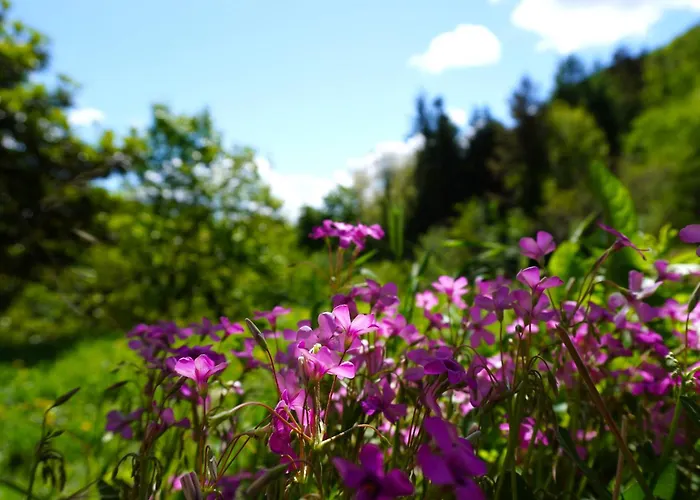 Casa Castagno E Ruscello - Nature Retreat In Liguria *