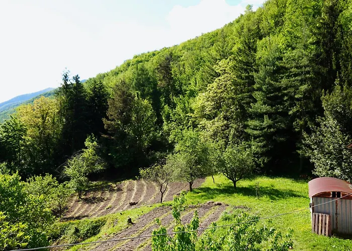 Casa Castagno E Ruscello - Nature Retreat In Liguria Σπίτι διακοπών *