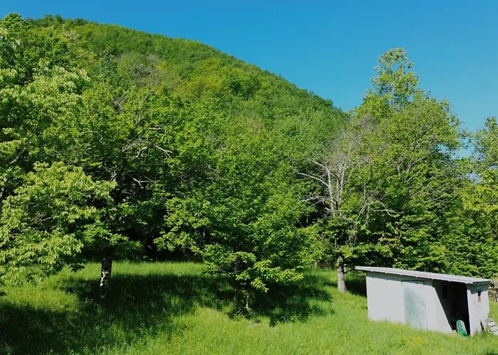 Vakantiehuis Casa Castagno E Ruscello - Nature Retreat In Liguria Pieve di Teco