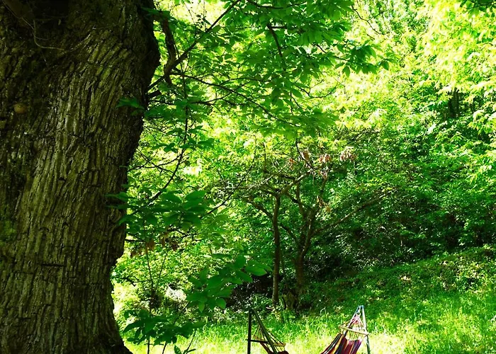 Casa Castagno E Ruscello - Nature Retreat In Liguria * Pieve di Teco