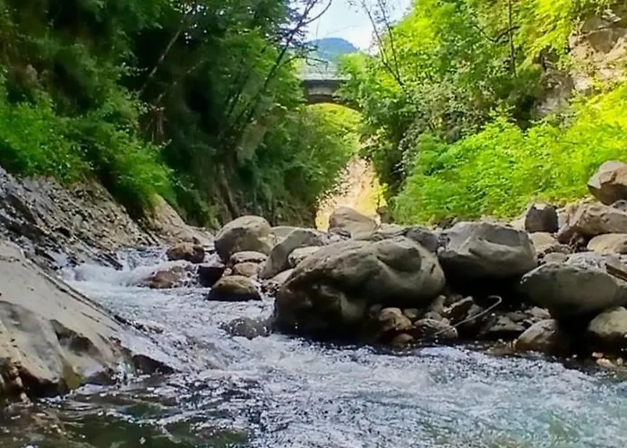 Σπίτι διακοπών Casa Castagno E Ruscello - Nature Retreat In Liguria Pieve di Teco